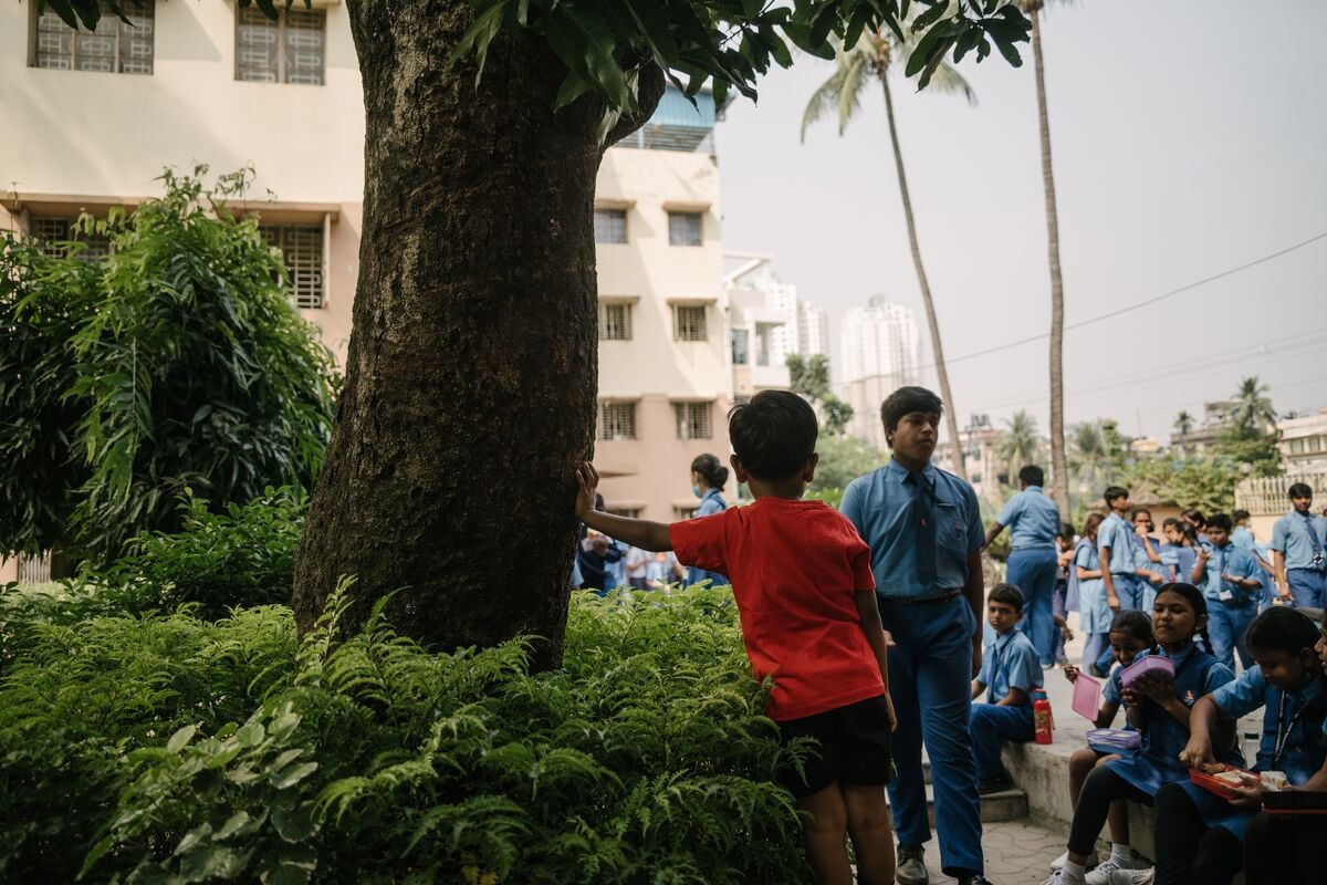 Young Sandeep and mango tree