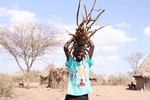 Namekwi fetching firewood