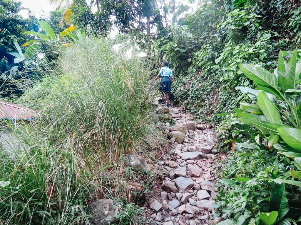Wandalines community
