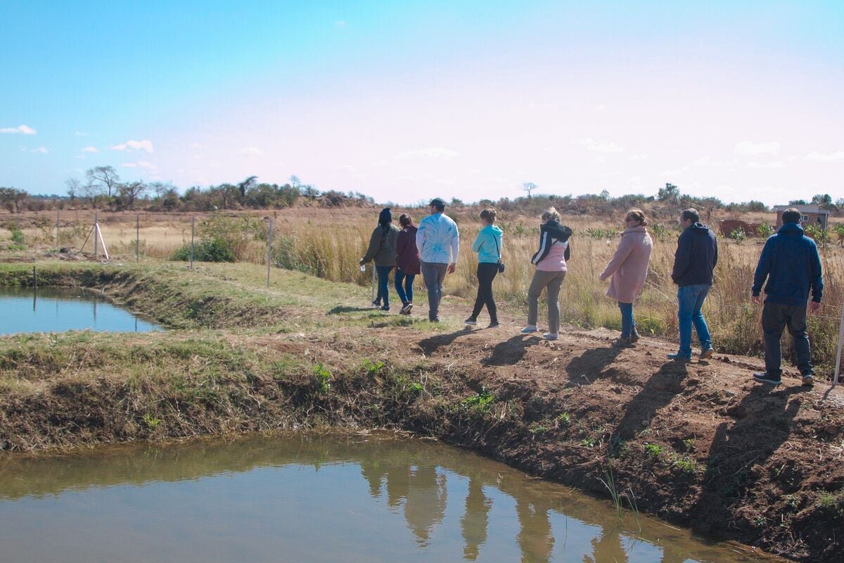 Visiting the fish ponds