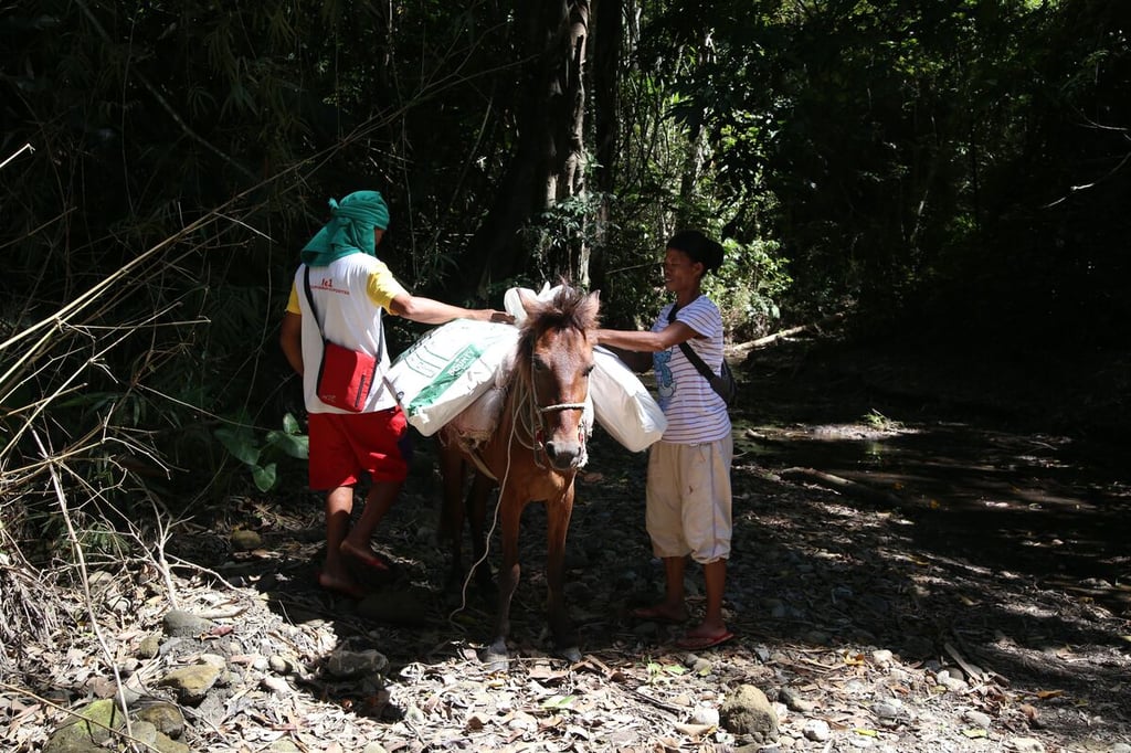 Loading up horse