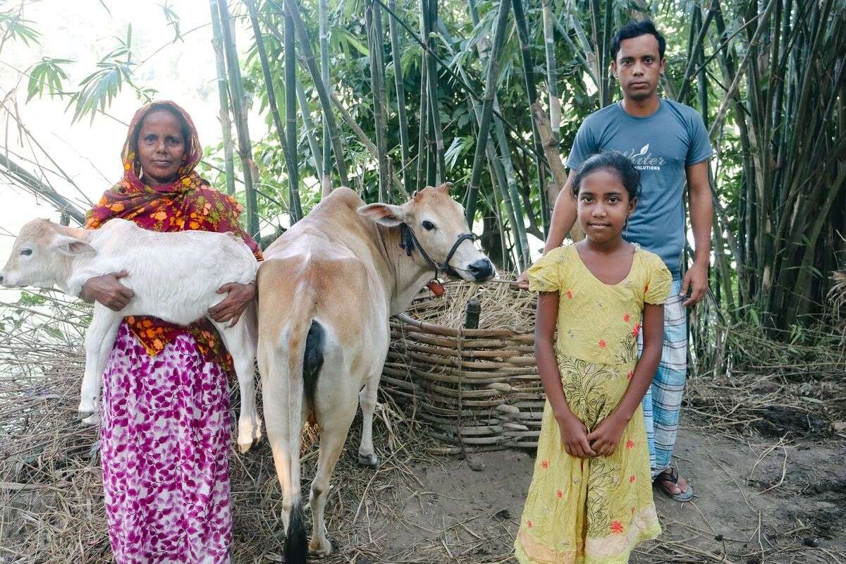A family in Bangladesh gifted a cow and a calf
